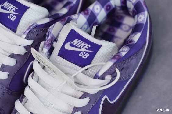 BV1310-555 Concepts Dunk Low SB Lobster Purple Nike 1008